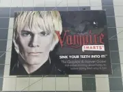 Vampire Smarts Sink Your Teeth Into It! Question & Answer Trivia Card Game NEW