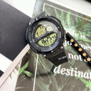 【CASIO 卡西歐】戶外運動登山錶 SGW-600-9A 45mm 現代鐘錶