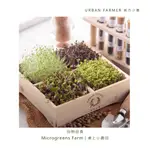 城市小農 | 桌上小農田 MICROGREENS (DIY 種植 親子 蔬菜幼苗 兒童 芽菜 快速採收 沙拉 貓草)