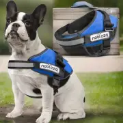 Nobleza Dog Harness vest, No Pull with Handle Soft Padding Blue Medium New