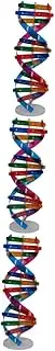 HONMEET 3pcs Science Toy RNA Model Kit Science DNA Toys Lab DNA Model Science DNA Molecule Model DNA Model Decor Human DNA Model Gene Model DNA Kit for Protein Model Kit Models