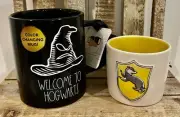 Rae Dunn Harry Potter WELCOME TO HOGWARTS Color Changin Hufflepuff Mug & Ramekin