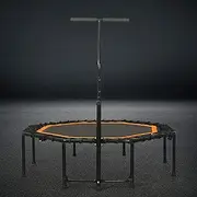 Trampoline 46 in,Fitness Trampoline with Adjustable Handle,Mute Foldable Trampoline Mini Exercise Rebounder for Adults Kids Indoor/Garden Workout Equipment