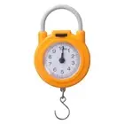 Precision Metal Weight Scale With Hook Spring Scale Hanging Scale Kitchen Scale