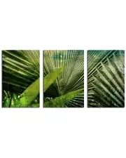 Ready2HangArt Green Palm 3pc Wrapped Canvas Wall Art by Tristan Scott