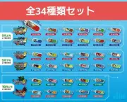 Rockman Exe Kokoro Window Strap Complete Set Of 34 Types