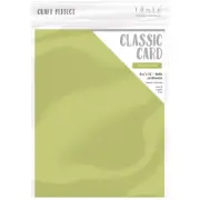 Craft Perfect Weave Textured Classic Card 8.5"X11" 10/Pkg-Pistachio Gre - 3 Pack
