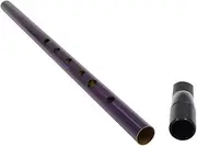 Parliky Soprano Recorder Key Irish Whistle Clarinet Music Flute for Portable Lightweight Musical Instrument for Beginners and Family Fun