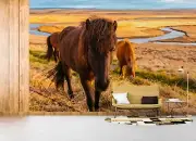 3D Horse Meadow River Landscape Wallpaper Wall Murals Removable Wallpaper