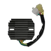 ElectroSport Charge controller ESR 538