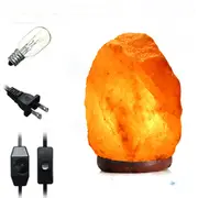 28 X 17CM Himalayan Glow Hand Carved Natural Crystal Salt Night Lamp Table Light With Dimmer Switch 28345 DIMMER SWITCH