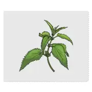 2 x 'Nettle Sprig' Microfibre Lens / Glasses Cleaning Cloths (LC00020193)