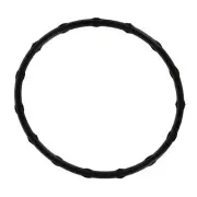 Plenum Gasket Set Fel-Pro 72767