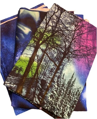 Timeless Treasures Panel Quilt Panels Northern Lights NEW