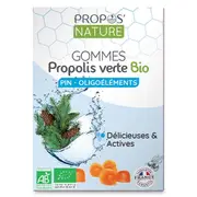 [Propos Nature] Propos'Nature Green Propolis Gum Trace Elements And Pine Sugar Free 45g