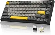 YINDIAO AK820PRO Mechanical Keyboard with TFT Smart Display&Knob,75% ANSI Layout,2.4G/BT5.1/USB-C Wired,5 Sound Absorbing Foams,Hot-Swap,RGB Backlit,for PC,MAC (Grey,Linear Gift Switch)