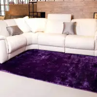 在飛比找momo購物網優惠-【山德力】歐密地毯 - 紫 160x230cm(地毯 長毛 