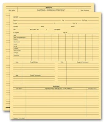 20967 Vet Animal History Exam Records Two Sided Card File Fold 8 x 9 1/2" QTY 10