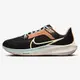 Nike 男鞋 慢跑鞋 Pegasus 40 黑【運動世界】FQ6852-081