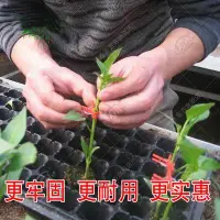 在飛比找樂天市場購物網優惠-【農用蔬菜嫁接夾-約1200個/kg-1款/組】圓口/方口黃