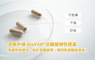 EinFit天然酵母萃取B群