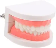 GETAJGHSD Model Tooth Model Gold Tooth Costume Heart Teething Broken Tooth Cover Tooth Savers for Mouth Model Tooth Plush Tooth Gems Tooth Tissues for Tooth Cap