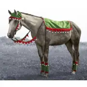 Complete Elf Costume Set for Your Horse - 10 Piece Set