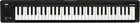 Korg microKEY2-61 USB MIDI Keyboard Controller NEW from Japan