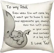 Dad Cushion Cover Throw Pillow, Daughter and Son Gift Form Dad, Suitable for Home, Office and Car Use (18" * 18")