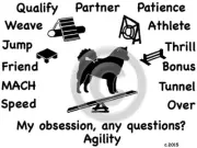 Alaskan Malamute Dog Agility Obsession Sale Grey with black Size Small to L only