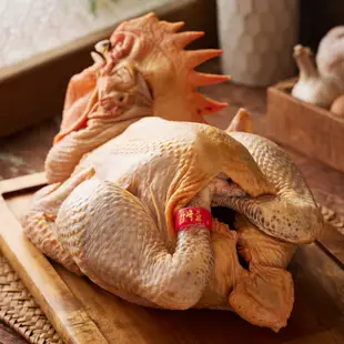 【金緗雞】公雞 (生鮮) 2.7公斤±10% 放牧土雞 冷凍宅配 生鮮 雞 雞肉 全雞