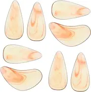 LALADEFIEE Wearable Guzheng Nails 8 Pack Professional String Instrument Picks Fake Finger Picks Abs Material for Playing Collecting