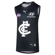 Carlton Blues 2024 AFL Puma Home Guernsey Sizes S-6XL!