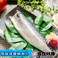 在飛比找ETMall東森購物網優惠-【食在好神】挪威薄鹽鯖魚(L) x36包