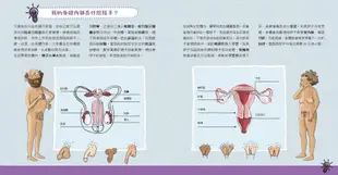 與孩子自在談性：我爸爸有小雞雞