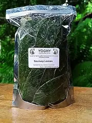 Soursop Tea 300 Pieces Grade A Well Cleaned