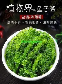 在飛比找Yahoo!奇摩拍賣優惠-熱銷 買2送1 買3送2 越南進口 海葡萄 綠色魚子醬 即食