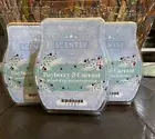 Lot of 3 Scentsy Bayberry & Currant Scents Of The Season Collection Wax Bar