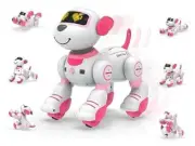 Programmable Remote Control Robot Cat Robot Dog for Kids, Interactive Pink