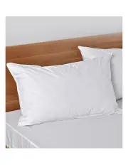 [Dreamaker] Goose Feather and Down Standard Pillow in White