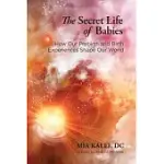 THE SECRET LIFE OF BABIES: HOW OUR PREBIRTH AND BIRTH EXPERIENCES SHAPE OUR WORLD