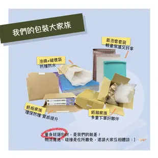 【華通書坊】大學程式能力檢定：CPE 祕笈 附 CD/片 林盈達、黃世昆 東華書局 9789863414766 <華通書坊/姆斯>