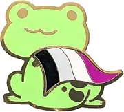 [Hokum and Snark] Asexual Pride Frog Pin in Ace LGBT+ Flag Colors | Chibi Superhero Gay Frog Pin, Metal