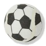 All Day Soccer Fetch Ball Dog Toy