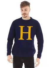 Harry Potter Mens Christmas Jumper Blue Medium