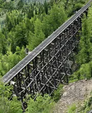 1940 Trestle of narrow gauge railroad near Ophir, Colorado 14 x 11" Photo Print
