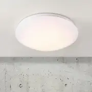 Mani 25 LED Ceiling Light in White