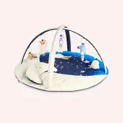 Celestial Dreams Activity Gym by Skip Hop | the memo