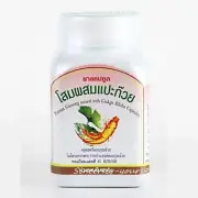 Panax Ginseng Gingko Ginkgo Capsules Biloba Help Brain Memory Stress Sex 450g