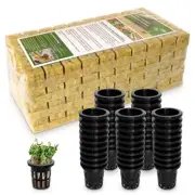 200 Plugs 1 Rockwool Cubes for Hydroponics with 50 Pack 1.5 Inch Net Pots